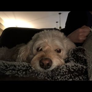 Meet your Posher, Marisa